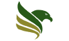 Veroem Solutions logo
